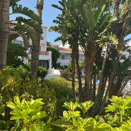 744 Tenerife